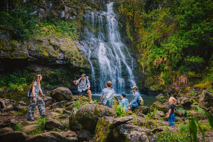 Join us for an unforgettable day in Kohala